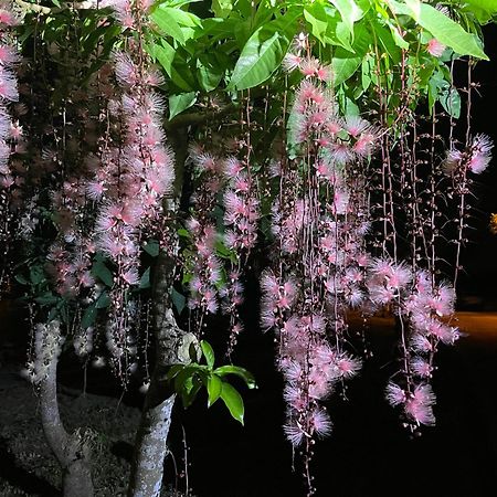 漫調子 Roaming Life B&B Wujie Zhen Exteriör bild